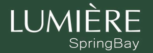 logo lumiere springbay